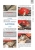 ��������� Honda CB400SF ����������� �� ������������, ������������ � ������� � ������� �����������