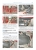���������� H 100 / Hyundai Porter � 2005 ����������� �� ������������, ������������ � ������� � ������� �����������